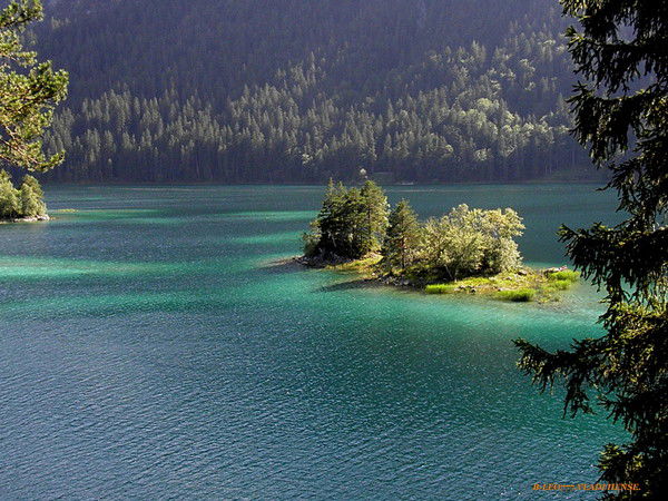 Алексей Литвинов