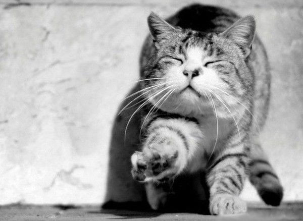 Нина Сергеева