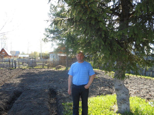 Владимир Кострулев