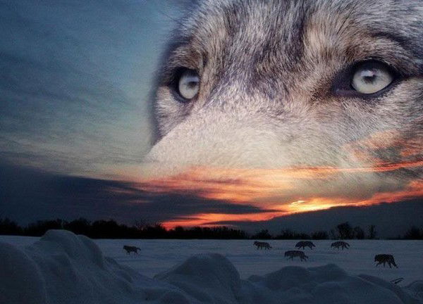 Неизвестно Неизвестно