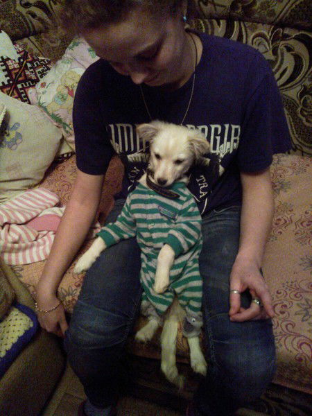 Анна Гладка