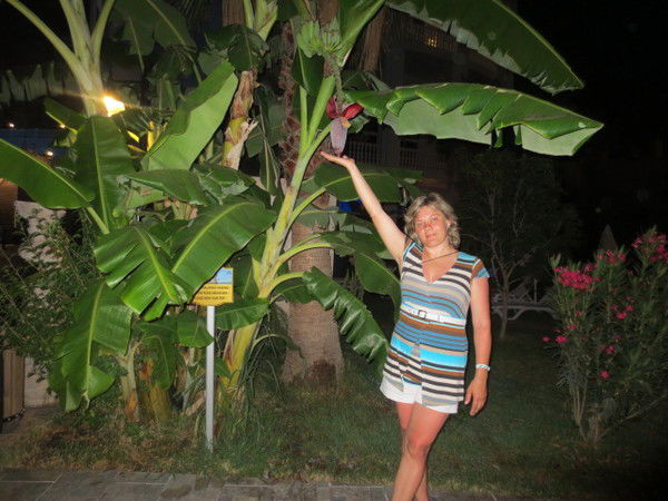 Светлана Баранова