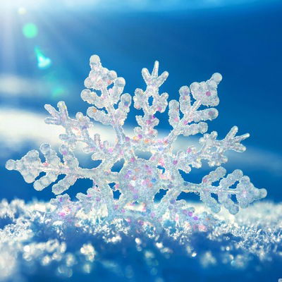 Полина Емельянова