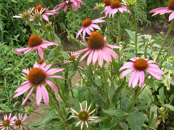 Татьяна Кудрина