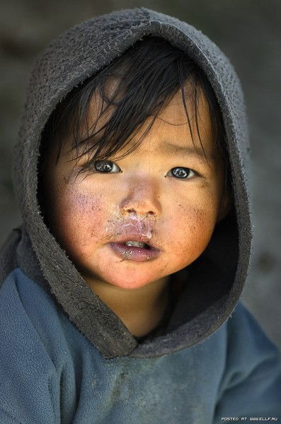 Миша Степанов