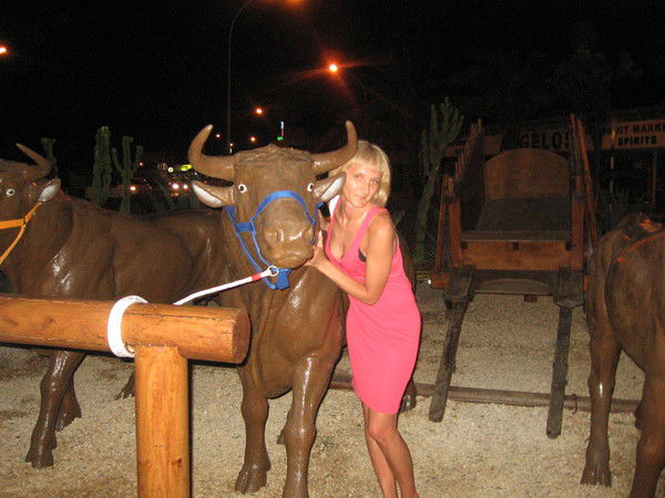 Елена Тимошенко