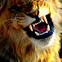 Иван Иванович