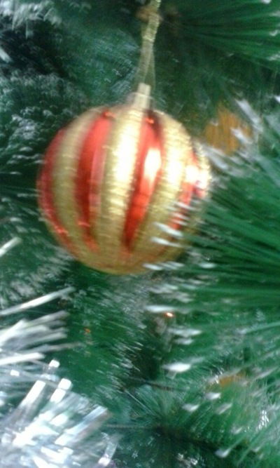 Дима Тепляшин