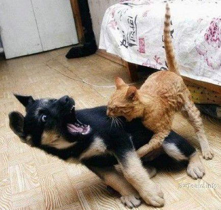 Сергей Федянин