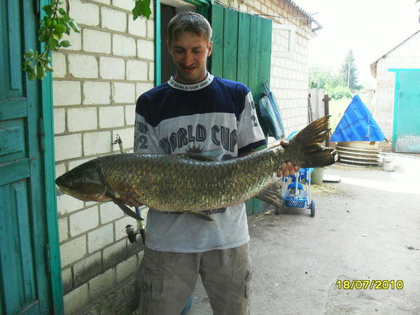 Алексей Савинский