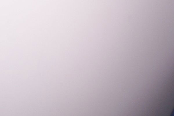 Елена Цубер