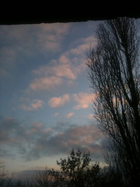 Александр Кужель