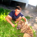 Max Sheglov