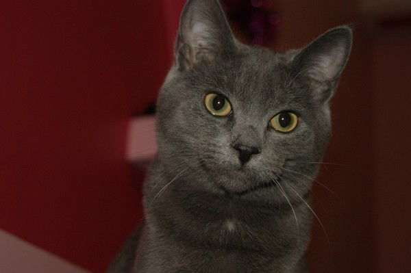 Игорь Махоньков