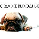 Ильнар Devin