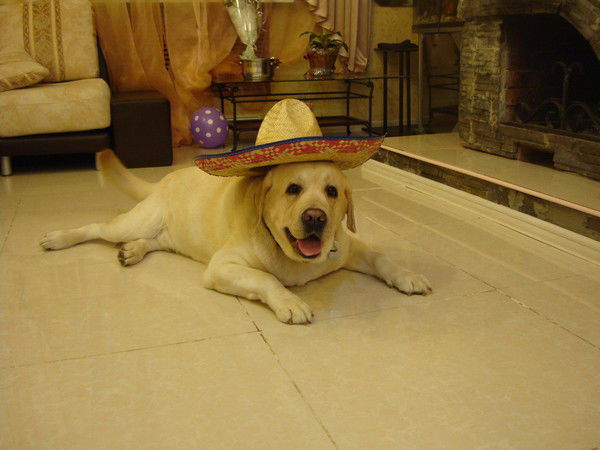 Вадим Утешин