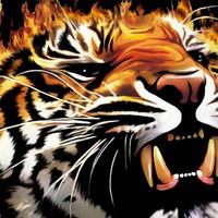 Марго Шебейко