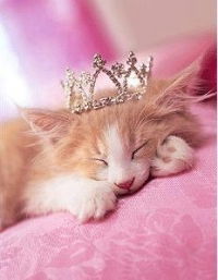 Ирина Широкова