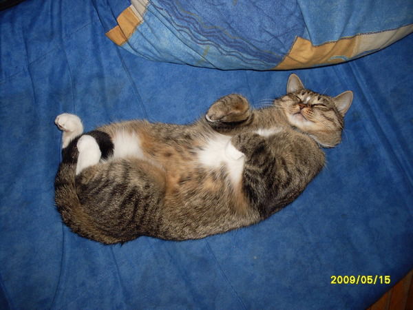 Ноготкова Татьяна