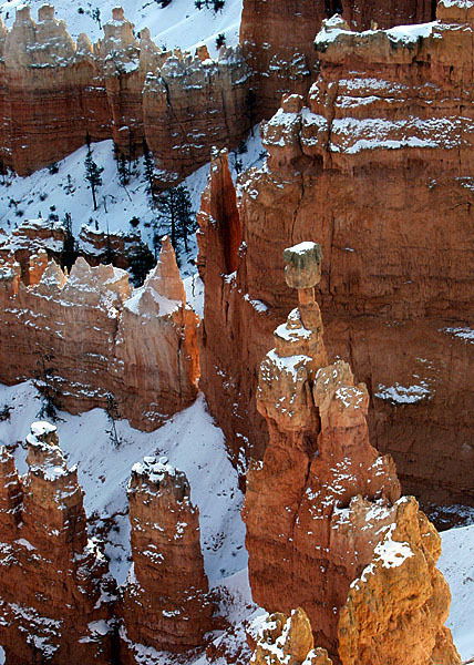 Константин Лащенков