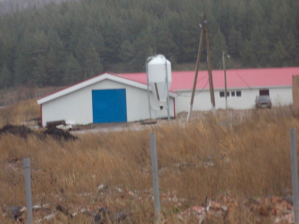 Дмитрий Субботин