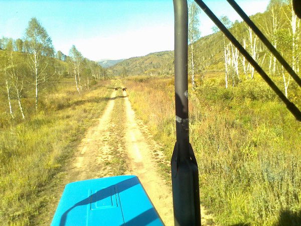 Татьяна Снегирёва