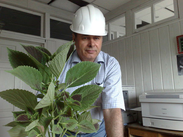 Анатолий Козлов