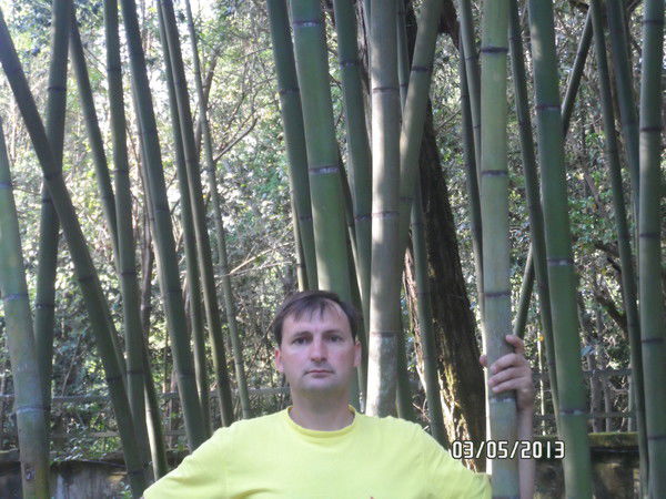 Валерий Сергиенко