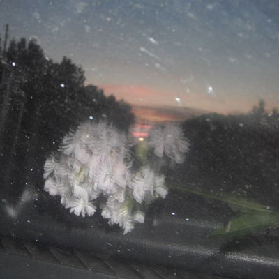 Валерия Косарева