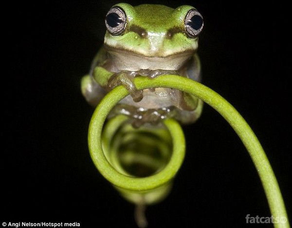 Людмила Тарасова