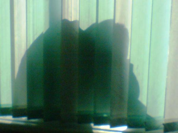 Искандер Ихсанов