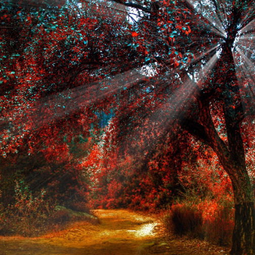 Евгения Макарова