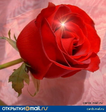 Наталья Стукалова