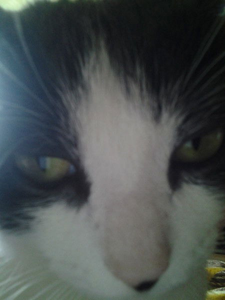 Наталия Павлюкова