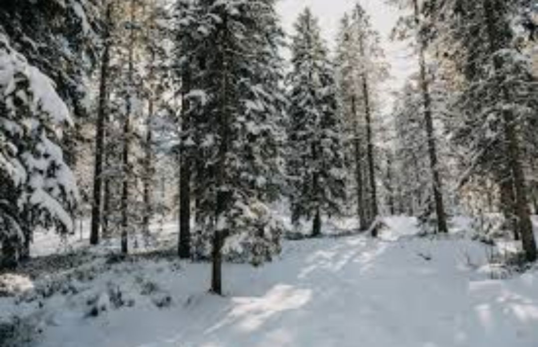 Лучик Снежина