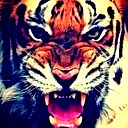 Мурад Садыков