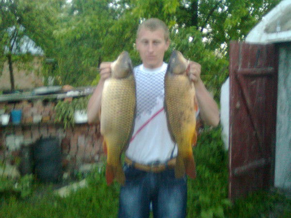 Владимир Власюк