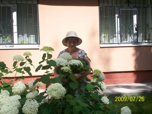 Галина Пронская