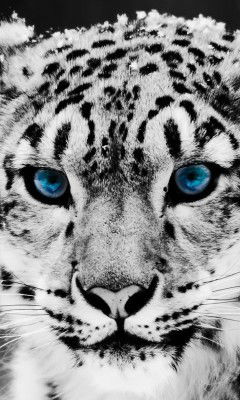 Валентин Макин