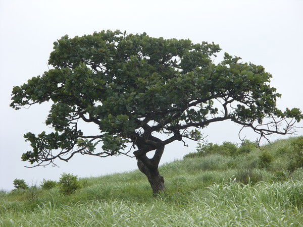 Татьяна Тырина