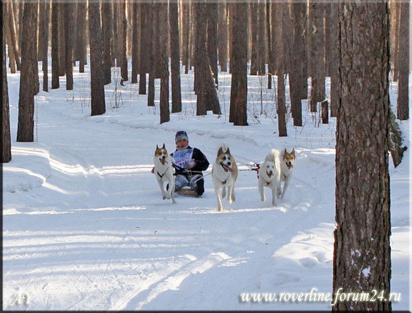 Надежда Фролова