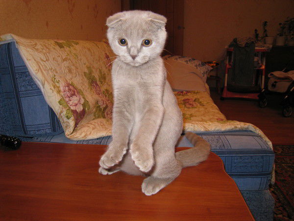 Юлия Никакая