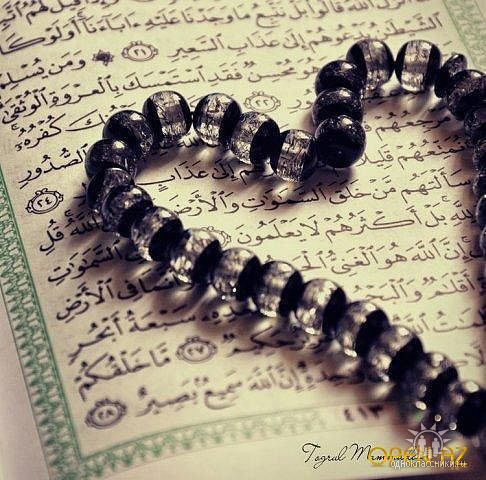 Шамиль Гаджиев