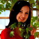 Светлана Волкова
