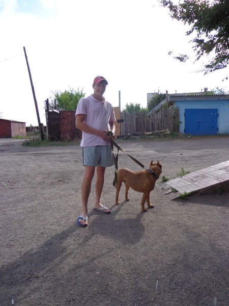 Вячеслав Андреев