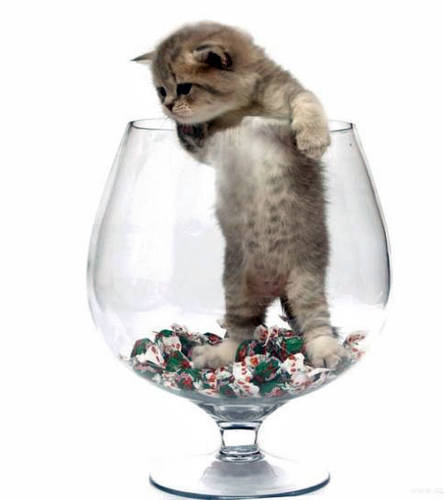 Стас Соколов