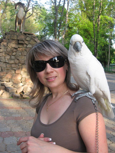 Евгения Тонких