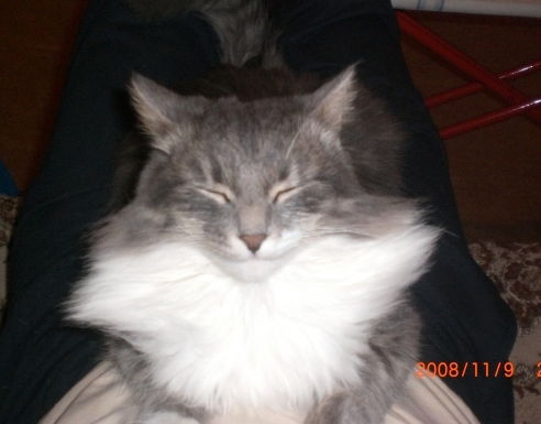 Рустем Валеев