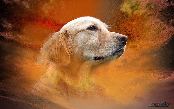 Сергей Сергеев