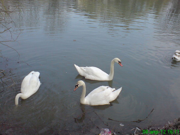 Артем Крюков